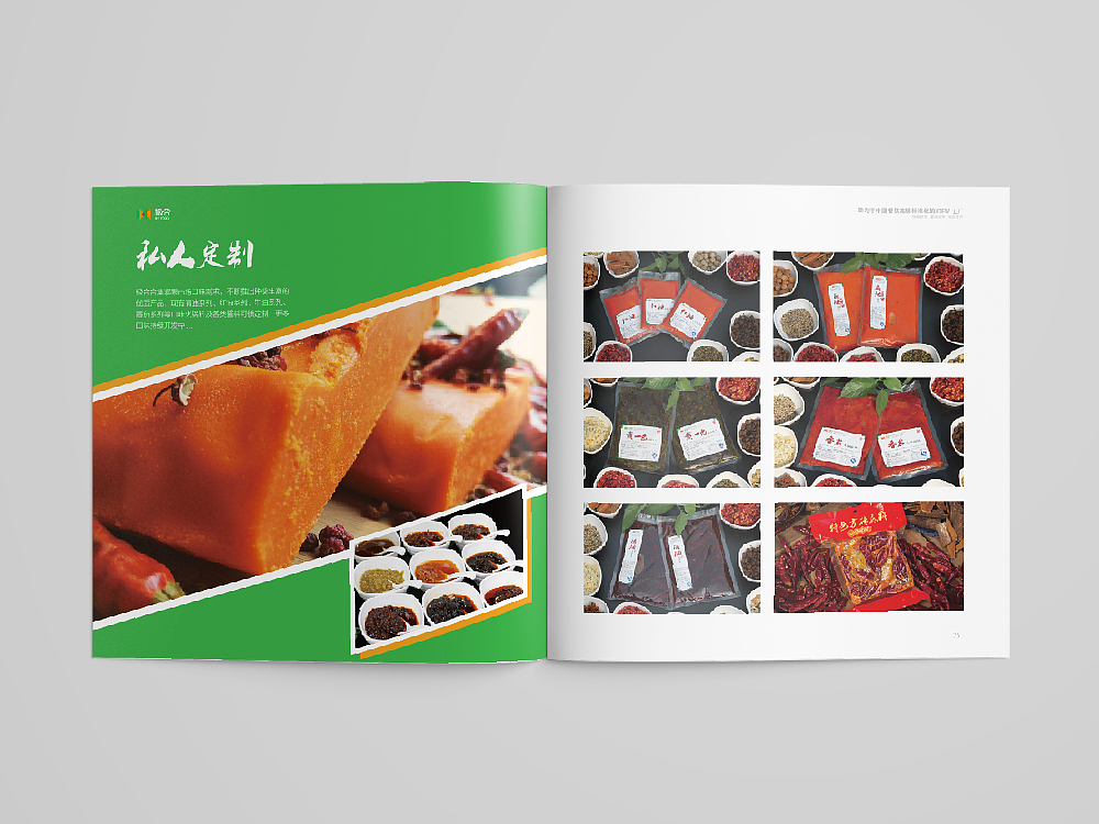 【画册】极合食品产品宣传册